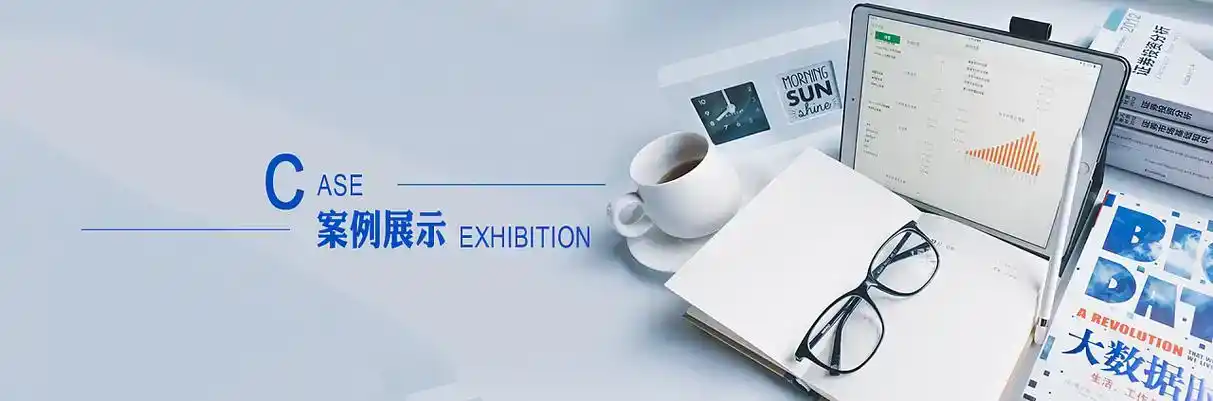 安岳县软件开发